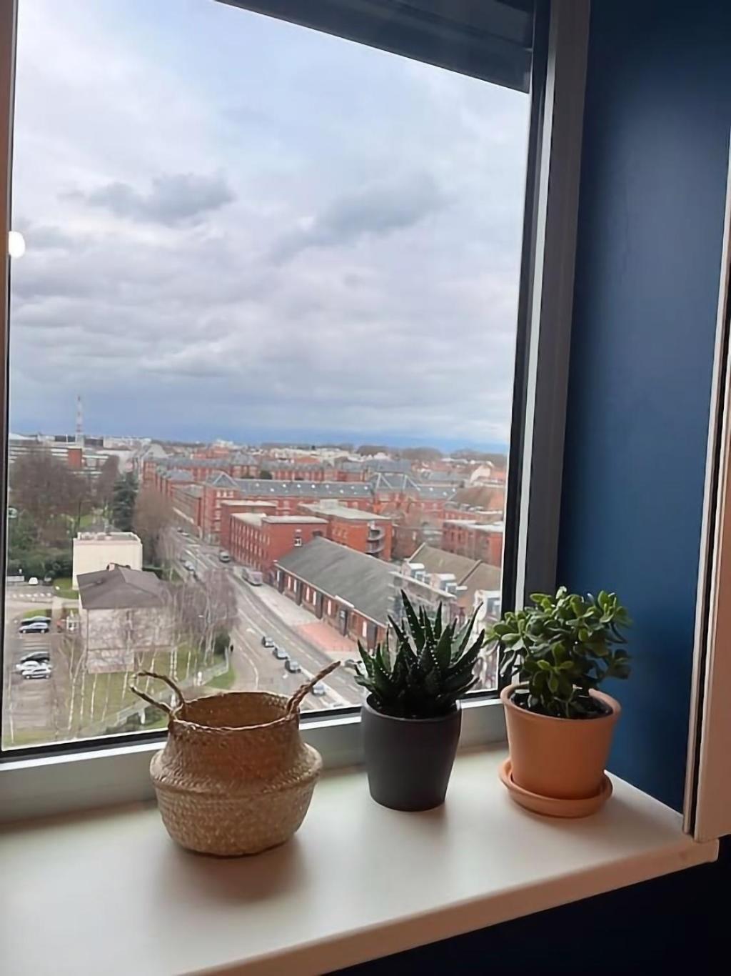 Le Tribunal - Studio Pres De L'Avenue Des Vosges Strasbourg Eksteriør billede